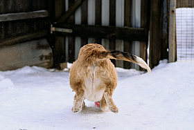 Работа фотографа Дмитрий Гусалов