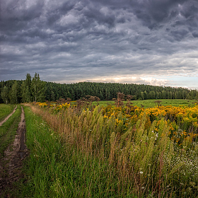 Последний месяц лета | Фотограф Сергей Шабуневич | foto.by фото.бай