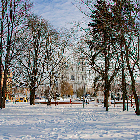 фотограф Александр Архипов. Фотография "В зимнем сквере."