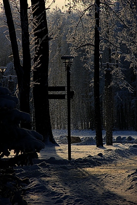 Снег. | Фотограф Александр Тарасевич | foto.by фото.бай