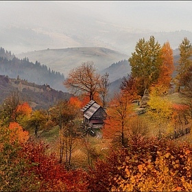 / Что такое осень ... / | Фотограф Влад Соколовский | foto.by фото.бай