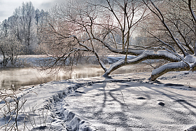 Зима на Свислочи | Фотограф Дмитрий Голуб | foto.by фото.бай