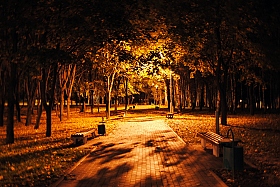 Осенняя ночка | Фотограф Константин Ковалев | foto.by фото.бай