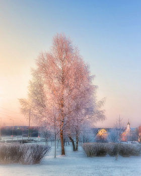 в лучах морозного заката | Фотограф Юлия Кранина | foto.by фото.бай
