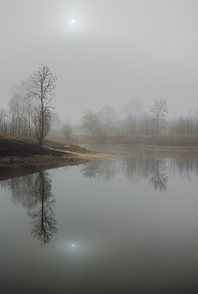 В туманной дымке | Фотограф Виктор Позняков | foto.by фото.бай