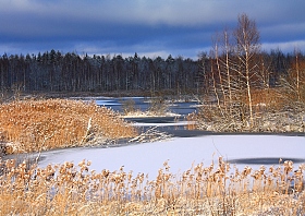 Зимний пейзаж | Фотограф Андрей Марцинкевич | foto.by фото.бай