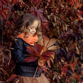 Краски Осени | Фотограф Виктория Дубровская | foto.by фото.бай