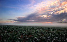 Рассвет в поле | Фотограф Сергей Шабуневич | foto.by фото.бай