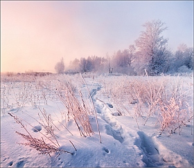 Фрагмент морозного утра | Фотограф Влад Соколовский | foto.by фото.бай