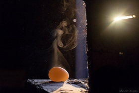 Золотое яйцо | Фотограф Евгений Шевелев | foto.by фото.бай