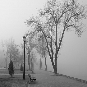 фотограф Зміцер Пахоменка. Фотография "Туманным апрельским утром"