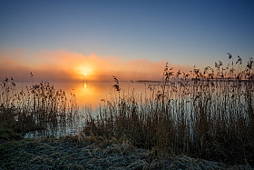 Туманный рассвет | Фотограф Евгений Стельмах | foto.by фото.бай