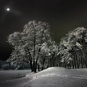 Прощальный звон зимы... | Фотограф Сергей Мельник | foto.by фото.бай