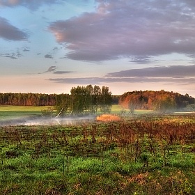 Весеннее утро | Фотограф Сергей Шабуневич | foto.by фото.бай