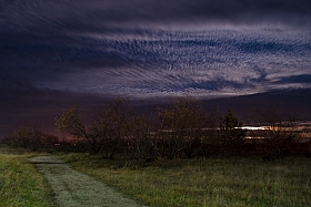 Ночная прогулка | Фотограф Сергей Ласута | foto.by фото.бай