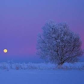 фотограф Александр Храмко. Фотография "Зимний вечер"