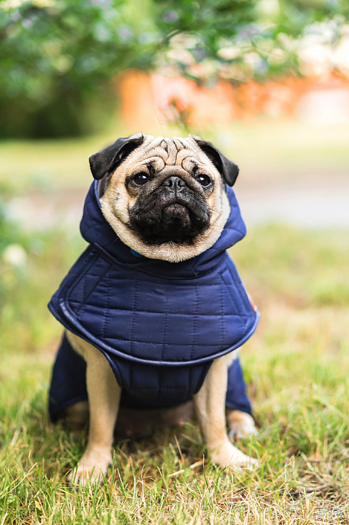 Фотограф Анна Островская, фотография добавлена 15.01.2026