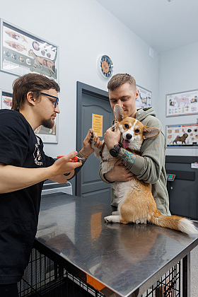 Работа фотографа Михаил и Елизавета Лукашевич