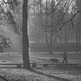 фотограф Николай Никитин. Фотография "Утро в городском парке"