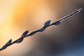 Тепло и холод | Фотограф Сергей Ласута | foto.by фото.бай