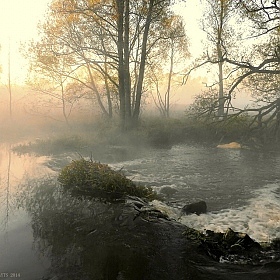 фотограф Диана Буглак-Диковицкая. Фотография "Туманный рассвет"