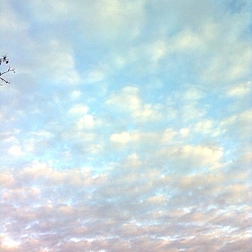 Небо | Фотограф Ника Зайя | foto.by фото.бай