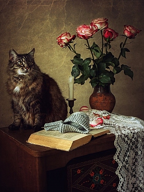Кот ученый | Фотограф Ирина Приходько | foto.by фото.бай
