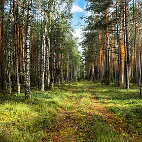 Раняя осень | Фотограф Сергей Шабуневич | foto.by фото.бай