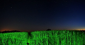 "Зеленая" ночь | Фотограф Харланов Никита | foto.by фото.бай