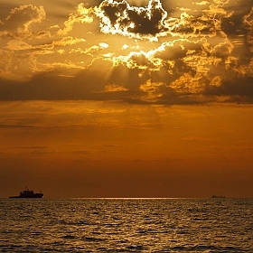 золотое море | Фотограф Ольга Коваленкова | foto.by фото.бай