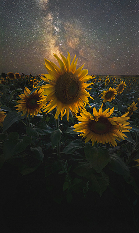 Под светом далёких звёзд | Фотограф Дмитрий Захаров | foto.by фото.бай