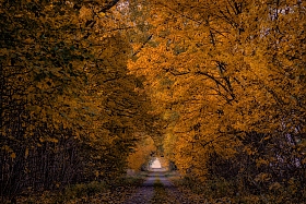 Старая дорога | Фотограф Юлия Войнич | foto.by фото.бай