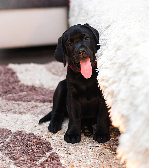 Фотограф Татьяна Скуратович, фотография добавлена 28.04.2018