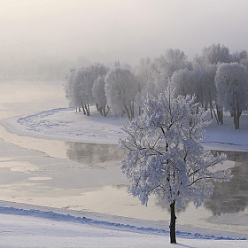 В морозном утреннем тумане | Фотограф Александр Задёрко | foto.by фото.бай