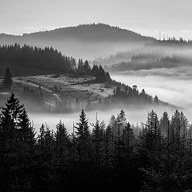 Туман прилег на горные вершины... | Фотограф Ольга Максимова | foto.by фото.бай