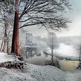 В январе | Фотограф Валерий Козуб | foto.by фото.бай