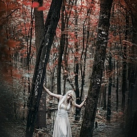 фотограф Jonny Symmetry. Фотография "Into the trees"