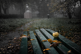 Осень в старом парке | Фотограф Александр Шатохин | foto.by фото.бай