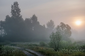 Летним утром | Фотограф Александр Шатохин | foto.by фото.бай