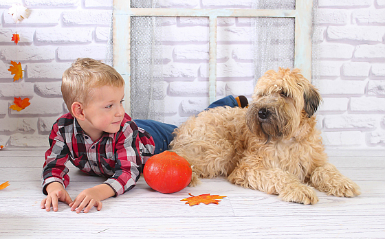 Фотограф Светлана Рябова, фотография добавлена 15.11.2017