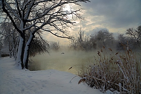 Туманное утро | Фотограф Алексей Рыльский | foto.by фото.бай