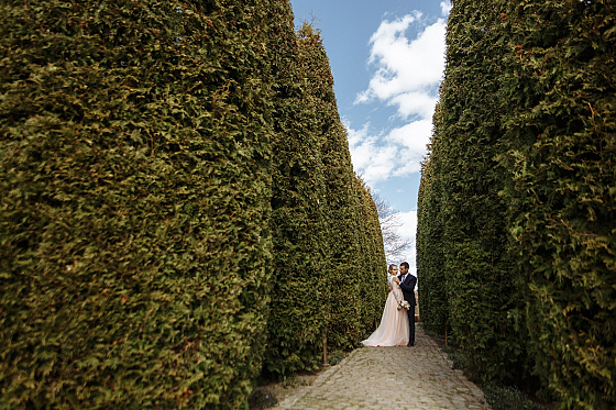 Фотограф Александр Кузьмин, фотография добавлена 27.12.2025
