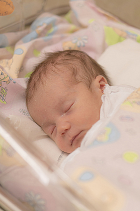 Работа фотографа Надежда Дудаева