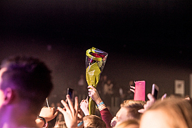 Работа фотографа Сергей Тарасов