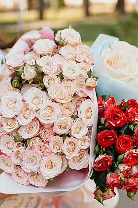 Работа фотографа Екатерина Яковлева