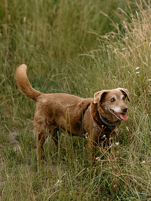 Фотограф Мария Войтик, фотография добавлена 16.02.2026