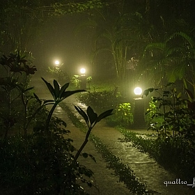 фотограф Андрей Федосеев. Фотография "Тропики. Ночной ливень."