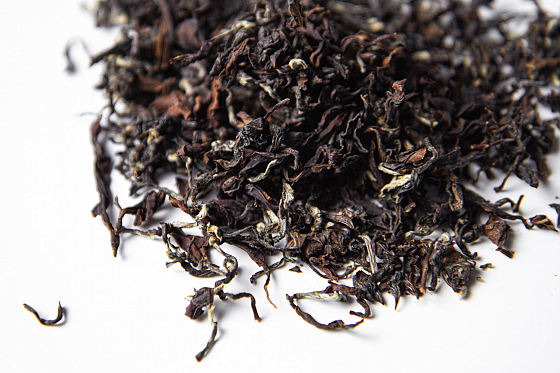 Фотограф Жасмина Германова, фотография добавлена 25.10.2025