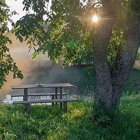 Утро туманное | Фотограф Дмитрий Голуб | foto.by фото.бай