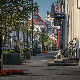 Городской пейзаж с котейкой | Фотограф Александр Шатохин | foto.by фото.бай